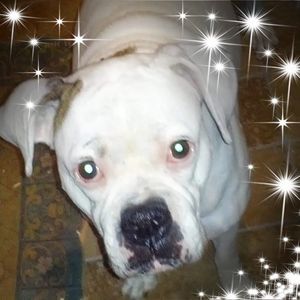 Meet your Posher, Jeff